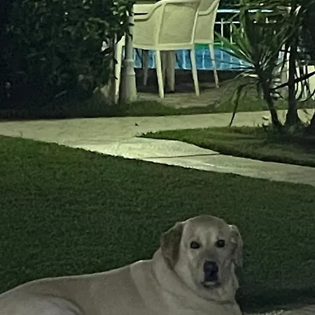 Belka Golf Luxury Poolside 베렉