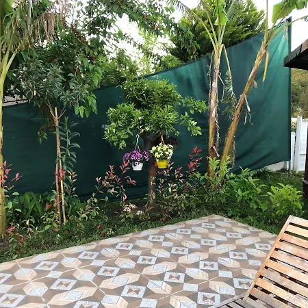 Belka Golf Luxury Poolside